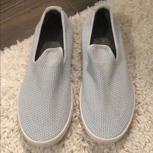 Allbirds Tree Loungers